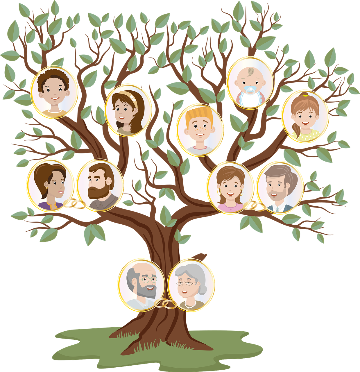 Grow your own family tree