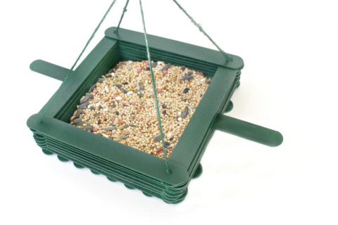 Bird Feeders