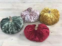 velvet pumpkins