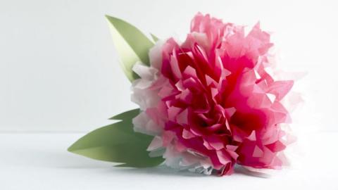 Tissue Paper Pom Pom Flower