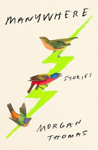 Cover of the book Manywhere; A green lightning bolt with three birds 