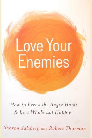 Cover of the book Love Your Enemies 