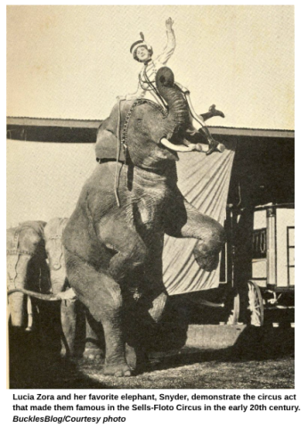 Lucia Zora and her favorite elephant, Snyder, demonstrate the circus act that made them famous in the Sells-Floto Circus in the early 20th century. BucklesBlog/Courtesy photo