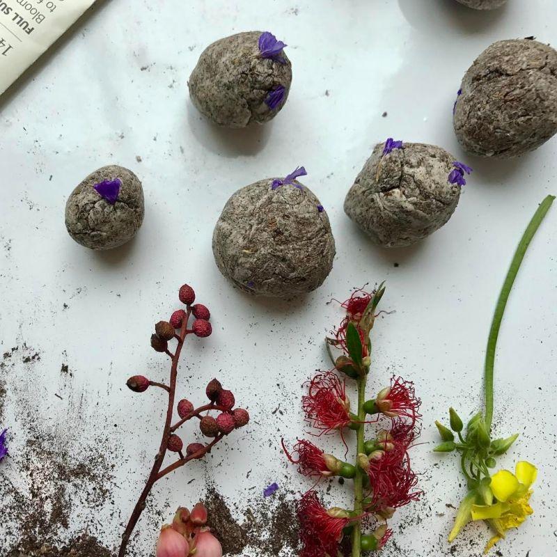 Seed Bombs