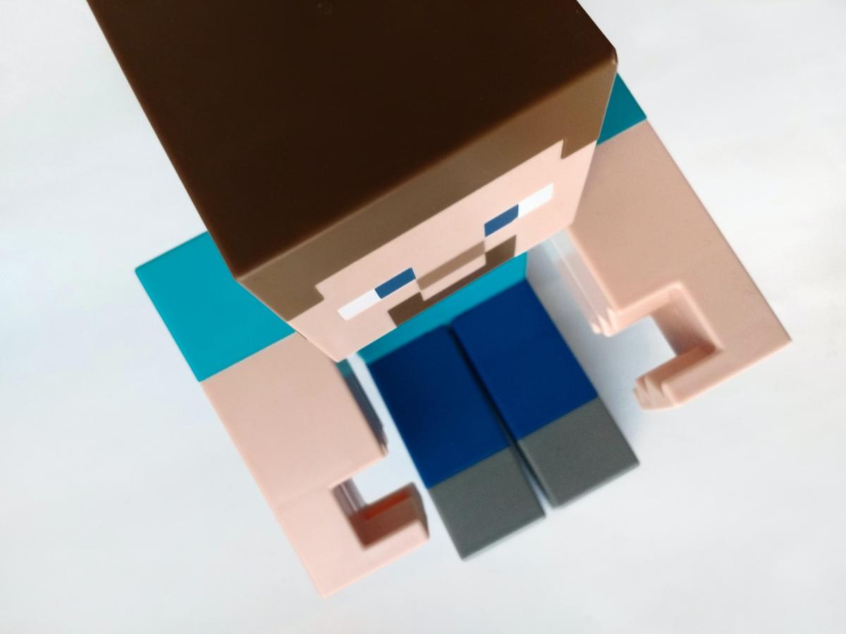 Steve from Minecraft