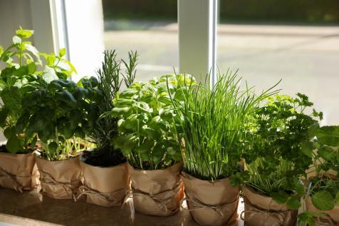 DIY Herb Garden