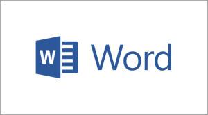 Microsoft Word