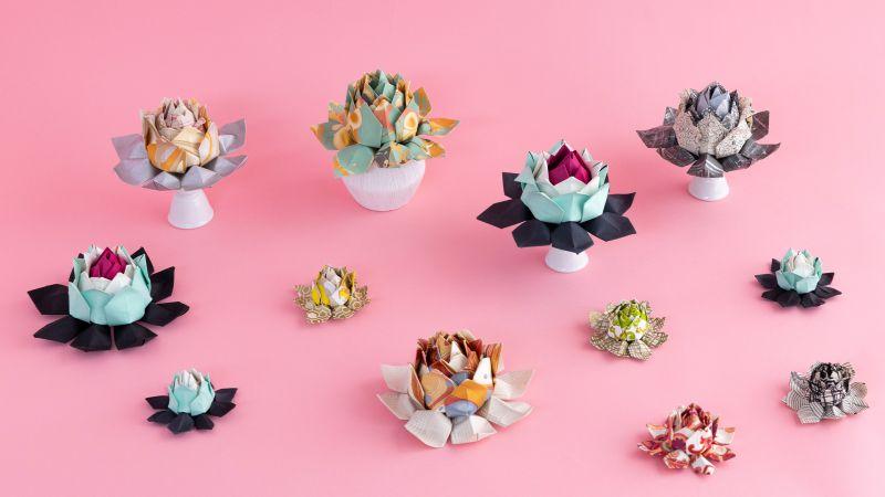 Origami Lotus Flowers 